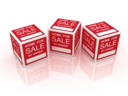 Buying a Property or Rental in France